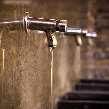 Wellness Smerdzonka - Kupele Pieniny Červený Kláštor